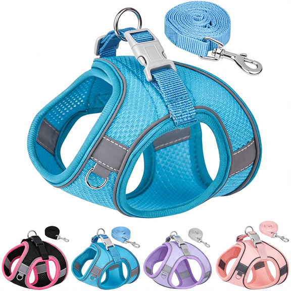 GASTROPOD Dog Harness for Small Medium Sized Dog,Step in Puppy Harness and Leash Set Training Walking Dog Leash and Harness Set (Blue,S)