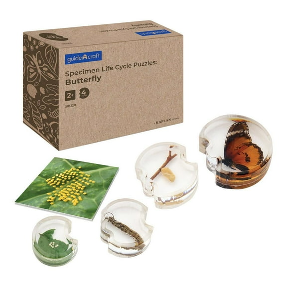 Kaplan Early Learning Company Specimen Life Cycle Puzzle - Butterfly