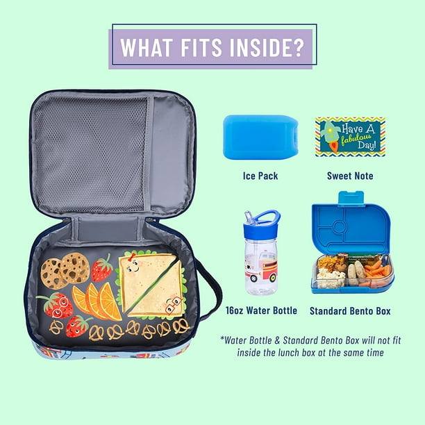 Snack Attack Premium Lunch Boxes –