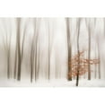 thumbnail image 3 of Tinak, Igor 18x13 Black Modern Framed Museum Art Print Titled - Winter, 3 of 5