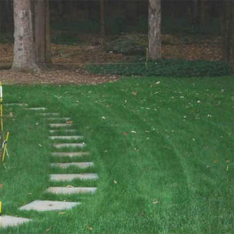 Fescue grass deals
