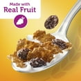 thumbnail image 4 of Kellogg's Raisin Bran Original Cold Breakfast Cereal, Giant Size, 37 oz Box, 4 of 15