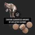 thumbnail image 4 of Veterinary Supplements FortiFlora Canine Probiotic Tablets, Dog Supplement 79 g - 45 count, 4 of 5