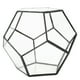 thumbnail image 2 of Macetero de cristal, maceta de cristal con forma geométrica elegante, muy versátil, 2 of 8