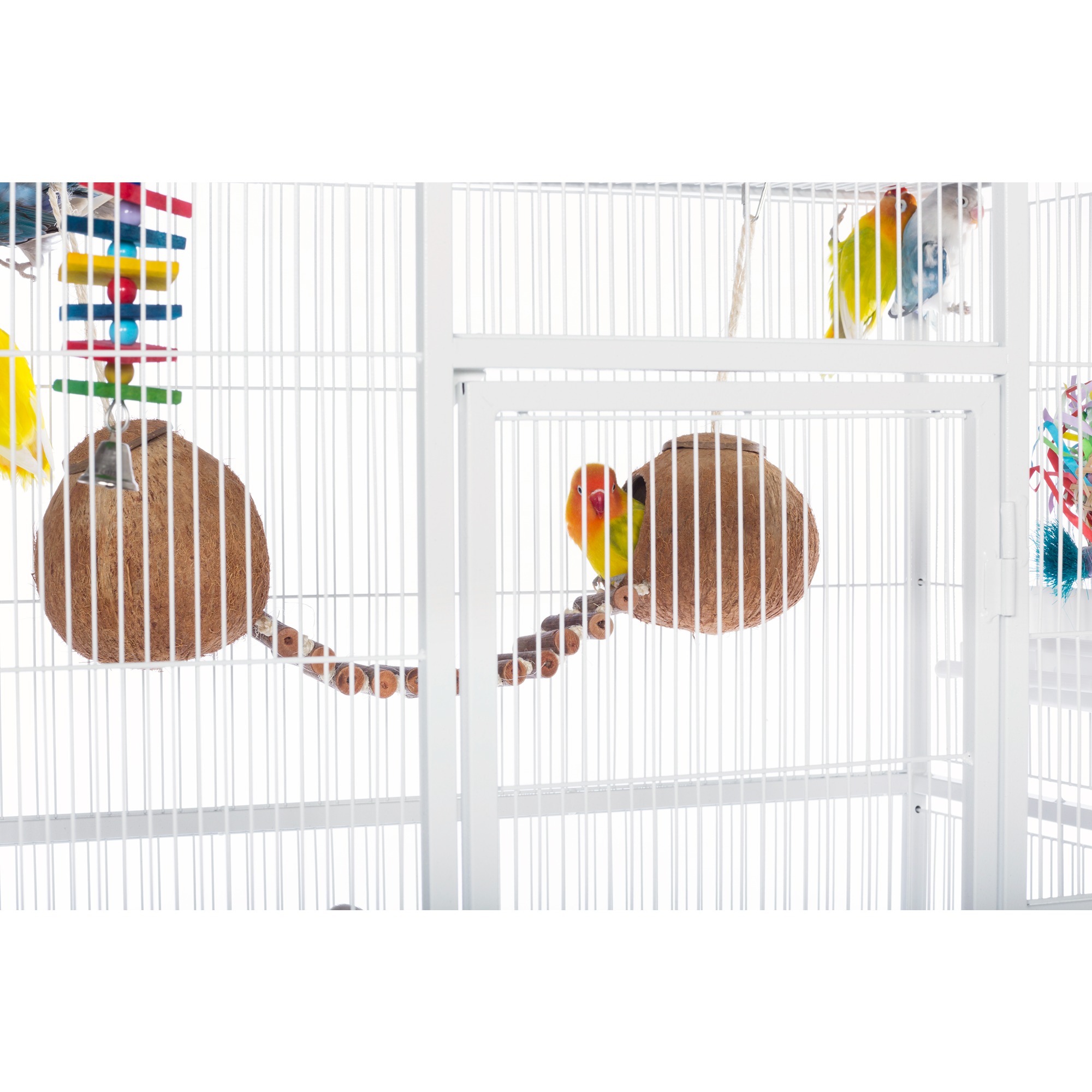 Prevue Pet Products Naturals Double Coconut with Ladder Bird Toy 62818
