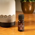 thumbnail image 3 of Huile Essentielle 100% ScentSationals - Chilled Out, 3 of 6