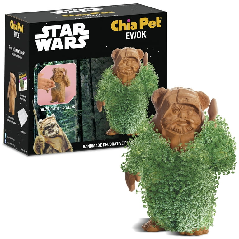 Chia Pet Star Wars Yoda Decorative Planter, 1 ct - Kroger