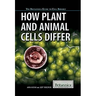Science Fundamentals 1 - Life Science - Cells, Plants & Animals: Quickstudy  Laminated Reference & Study Guide (Other)