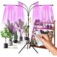thumbnail image 1 of Luz de cultivo LED de 80 W con soporte para plantas de interior, luz de planta con temporizador, 80 LED, 4 cabezales de espectro completo con control remoto para plántulas, verduras y flores, 1 of 5