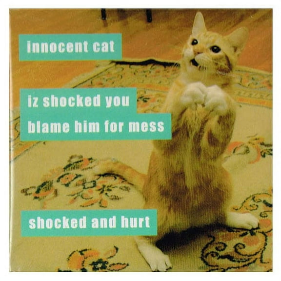 I Can Has Cheezburger 'Innocent Cat' Large Magnet / Favor (1ct)