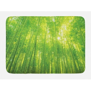 Bamboo Bath Mat, Image of Bamboo Trees with Sun Rays in Rainforest Exotic Wildlife Plants Nature Zen Print, Non-Slip Plush Mat Bathroom Kitchen Laundry Room Decor, 29.5 X 17.5 Inches, Green, Ambesonne