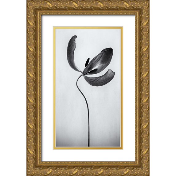 Mehmed, Besnik 9x14 Gold Ornate Wood Framed with Double Matting Museum Art Print Titled - Voila