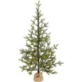thumbnail image 1 of Nearly Natural T1989 4 ft. Fraser Fir Natural Look Artificial Christmas Tree with 100 Clear LED Lights, A Burlap Base & 403 Bendable Branches, 1 of 1