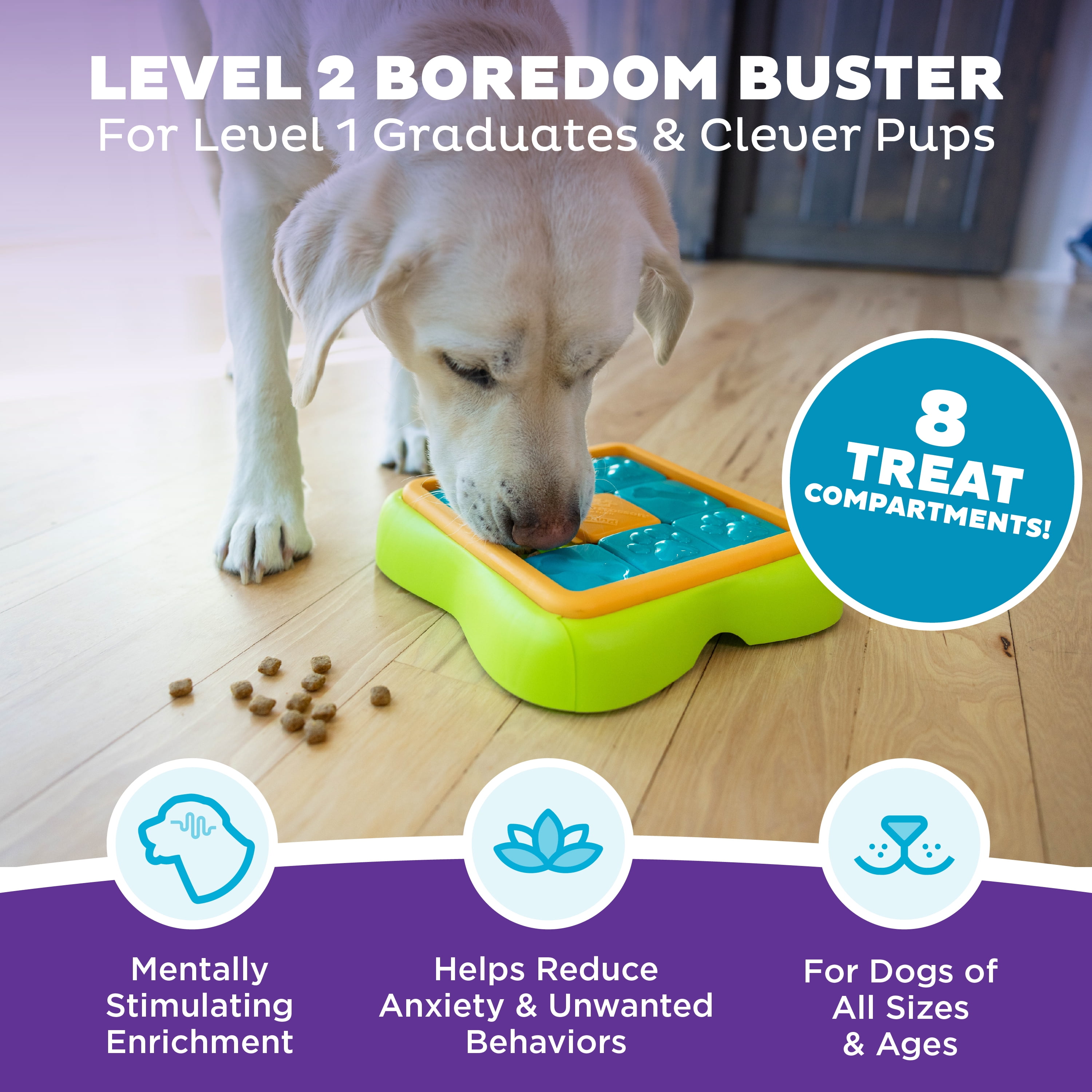 Outward Hound by Nina Ottosson Challenge Slider Treat Puzzle Enrichment Toy, Level 2 Intermediate, Multicolored