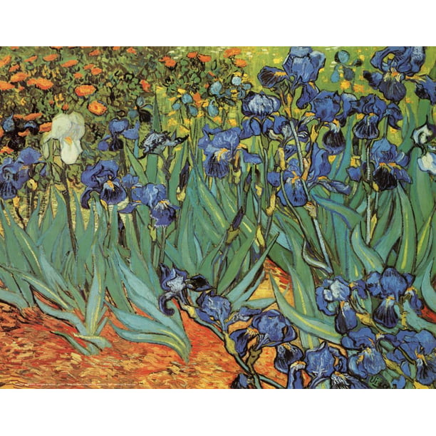 Irises, Saint-Remy, c.1889 Art Print By Vincent van Gogh - Walmart.com ...