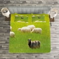 thumbnail image 3 of Ambesonne Nature Quilted Bedspread Set 3 Pcs, Black Sheep White Goats, Queen Size, Fern Green Cream, 3 of 3