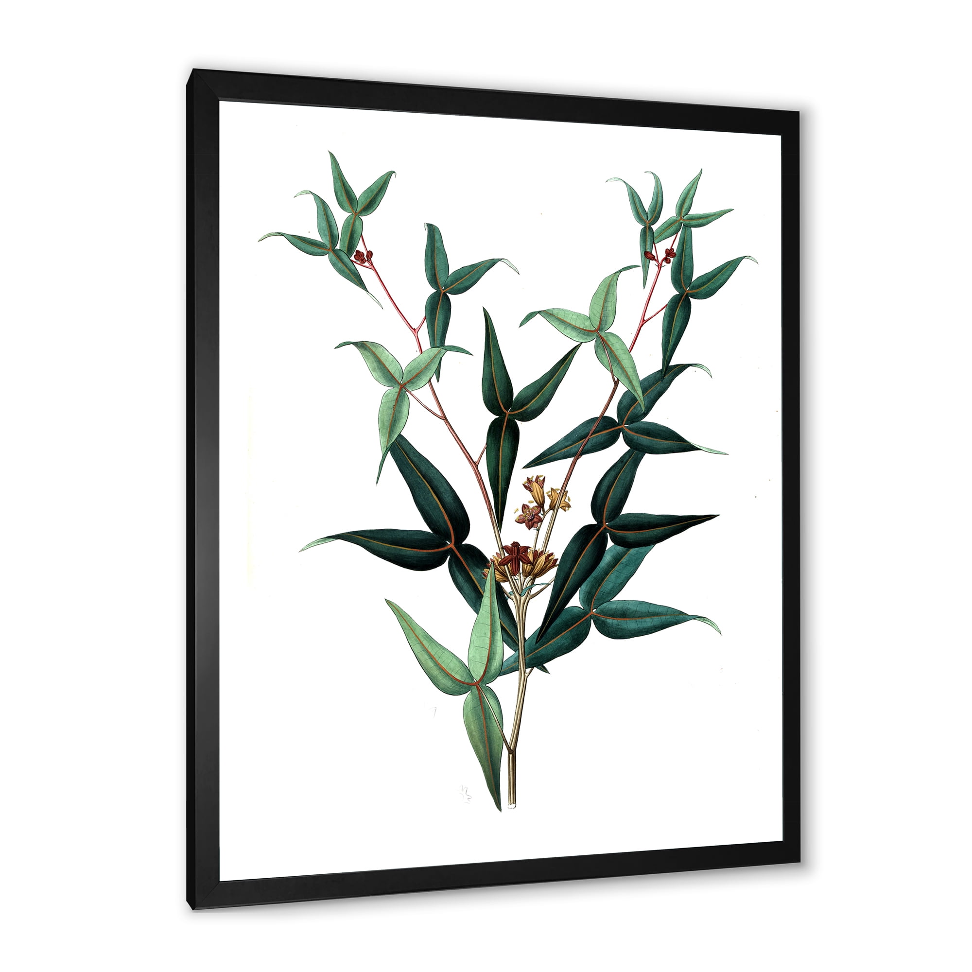 Designart 'Ancient Green Leaves Plants VIII' Traditional Framed Art Print