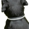 thumbnail image 4 of Benji & Flo Collier pour Chien à Strass, 4 of 4