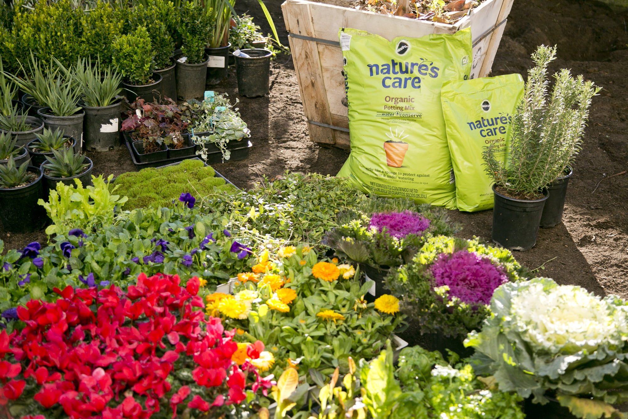 miracle gro nature's care organic potting mix aquarium