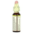 thumbnail image 3 of Bach Original Flower Remedies, White Chestnut, 0.35 fl oz (10 ml), 3 of 5
