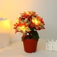 thumbnail image 5 of Tabletop Poinsettia Tree Light Christmas Plant With Lights Poinsettia Flowers Artificial Lighted For Holiday Party Centerpiece Table Decor Christmas-d, 5 of 5