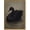 Black Swan, variant on Framed Vintage Eclectic Bird Wall Art Whimsical Elegant Animal Poster Prints Humorou Grey Heron Picture Funny Quirky Artwork Painting Wall Decor for Bathroom Bedroom Kitchen Dorm 12x16in