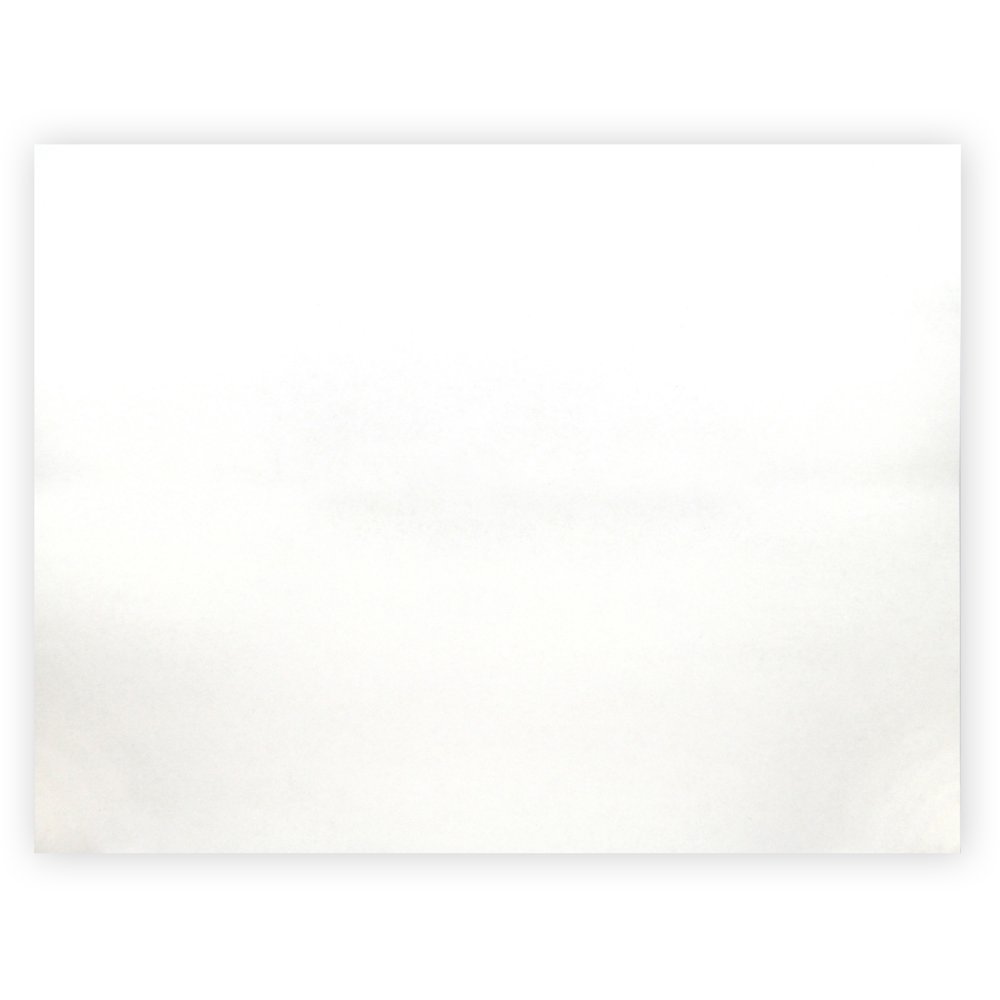 Elmer's White Poster Board, 28" x 22", 50Carton