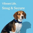 thumbnail image 4 of Vibrant Life Solid Polyester Adjustable Dog Collar, Blue, S, 4 of 11
