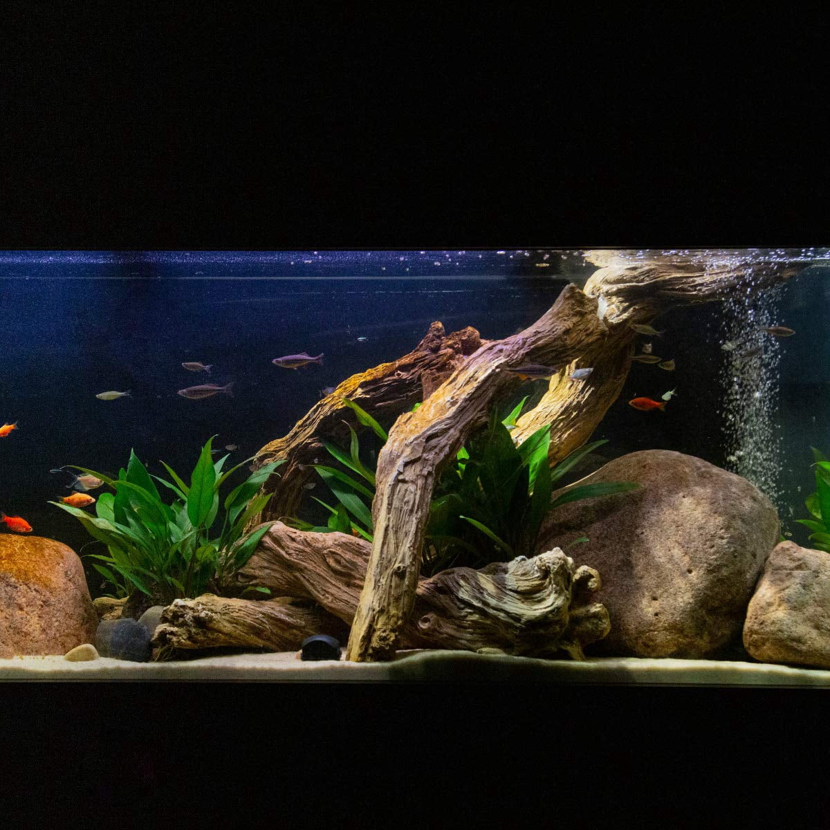 Aquascape 78276 30 in. Faux Driftwood