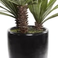 thumbnail image 6 of DecMode 46" Artificial Dracaena Plant in Realistic Leaves and Black Fiberglass Pot, 6 of 8