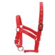 thumbnail image 3 of Collar de cabeza Collar de cabeza de caballo engrosado de 6 mm Cabezal de seguridad ajustable Brida de cabeza Irfora Collar de cabeza, 3 of 7