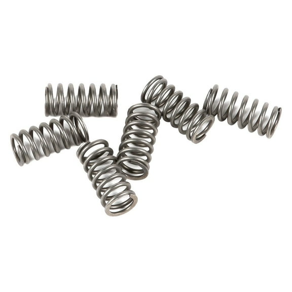 EBC CSK Series Heavy Duty Clutch Spring Kit