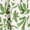 Botanical Green Iris Floral, variant on Women's Tie Back Midi Dress, Sizes XS-XXXL
