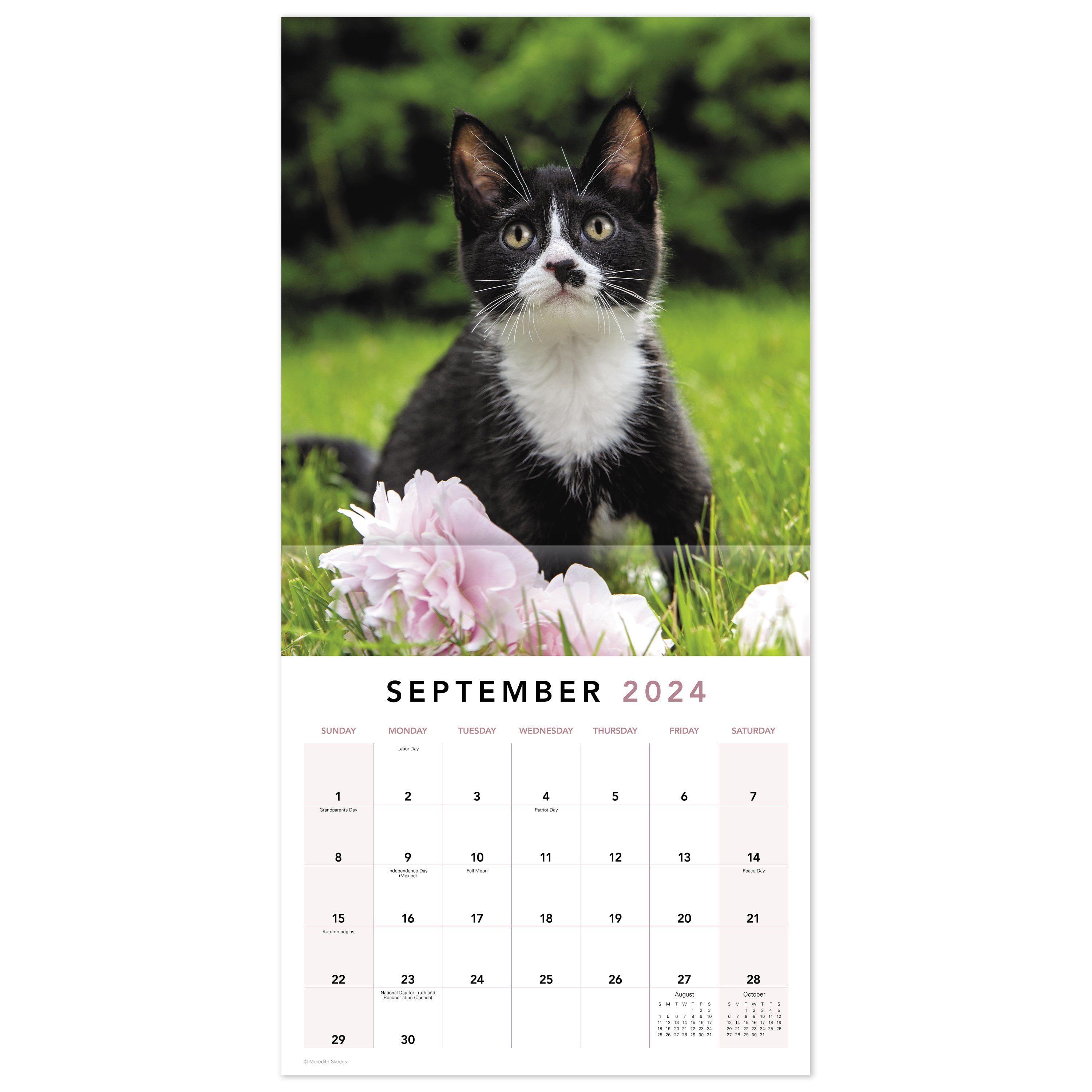 Cat 2024 Wall Calendar, Cat Paintings, Kitten Monthly Calendar, 12