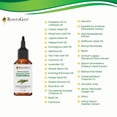 thumbnail image 5 of RootsGro Rosemary & Mint Strengthening Hair Oil | Nourish Hair Scalp | Stimulate Hair Growth | 4oz, 5 of 8