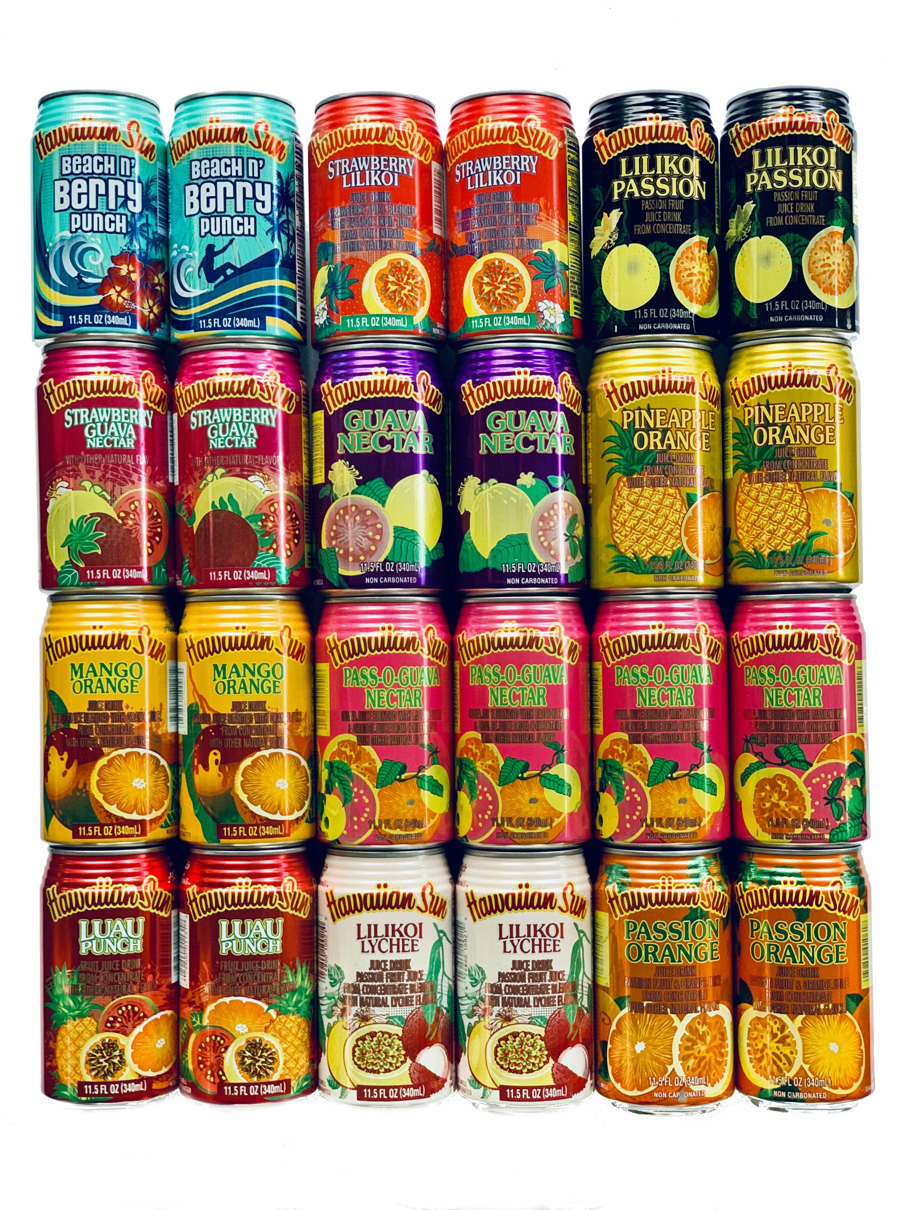 Hawaiian Sun Premium Tropical Juice Drink Party Bundle