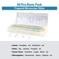 thumbnail image 4 of LAKWAR 60 Pcs Prepared Microscope Slides for Kids Students Biology Specimen Lab Sample with Insects Plants Animals Bacteria for Homeschool Science Learning, 4 of 8