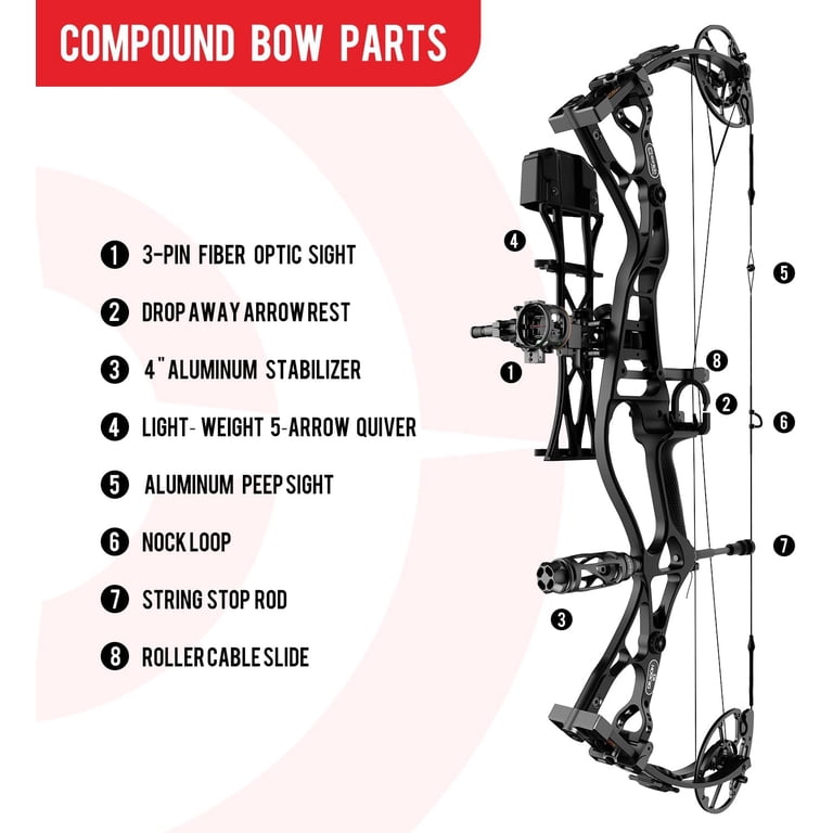 専用acca リボンゴム モノトーンとバタフライモチーフの2点セット Sanlida Dragon 10 Flagship Top of The Line Hunting Compound Bow