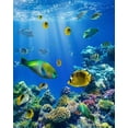 thumbnail image 2 of ABPHOTO Polyester 5x7ft 3D Underwater World Backdrop Aquarium Backdrops Fish Coral Blue Sea Tropical Photography Background for Kids Adults Summer Journey Ocean Sailing Portrait Photo Studio Props, 2 of 3