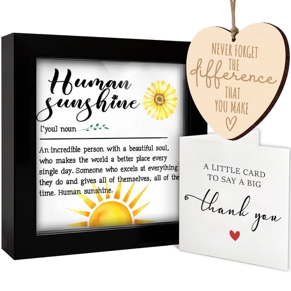 Human Sunshine Motivational Gift for Women Men, Thank You Appreciation Gifts with Frame Ornament Card for Coworker Leader Teacher Coach Mentor, Quotes Sign Accessories Home Table Decorations HF484