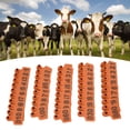 thumbnail image 4 of Number Ear Tag, Indispensable Ear Tag Number 001-100  For Farm For Poultry Farms Yellow,Green,Orange, 4 of 8