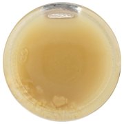 Ginger People Ginger Juice, 5 ounce