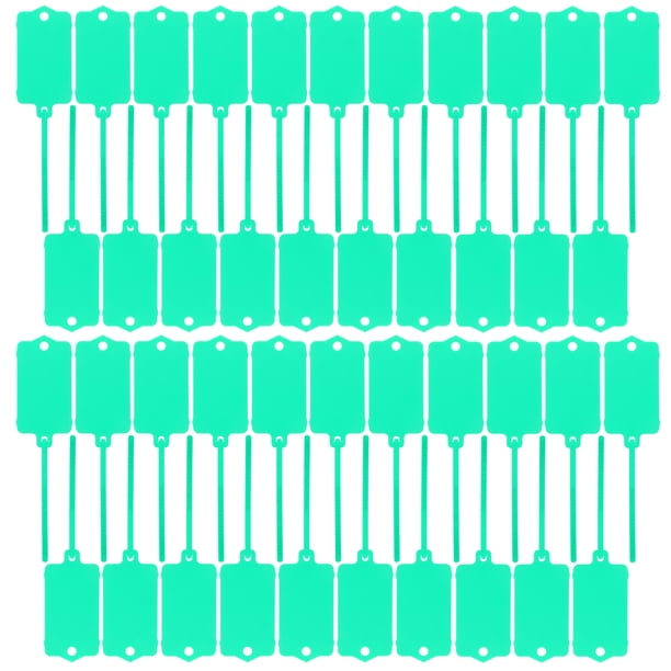 100 etiquetas de plástico en blanco, reutilizables, para colgar, para llaves, almacenamiento, impermeables, para escribir, color verde