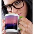 thumbnail image 2 of 3drose, Arizona, Tucson, Avra Valley, Tortolita Mountains - Us03 Bja0073 - Jaynes Gallery, 11oz Two-tone Green Mug, 2 of 6