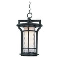 thumbnail image 2 of Maxim 55788 Black Oxide Oakville 19" Pendant, 2 of 2