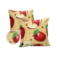 thumbnail image 2 of Outdoor Throw Pillow Cover Red Apples Ladybug on Retro Weave Texture Waterproof Cushion Covers 2 Pack Farmhouse Fruit Pillow Cases Home Decoration for Patio Garden Couch Sofa, 2 of 7