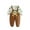Coffee, variant on Infant Long Sleeve Shirt and Overalls Set with Cartoon Frog Print Soft Cotton Blend Comfortable Fit Children Outfit