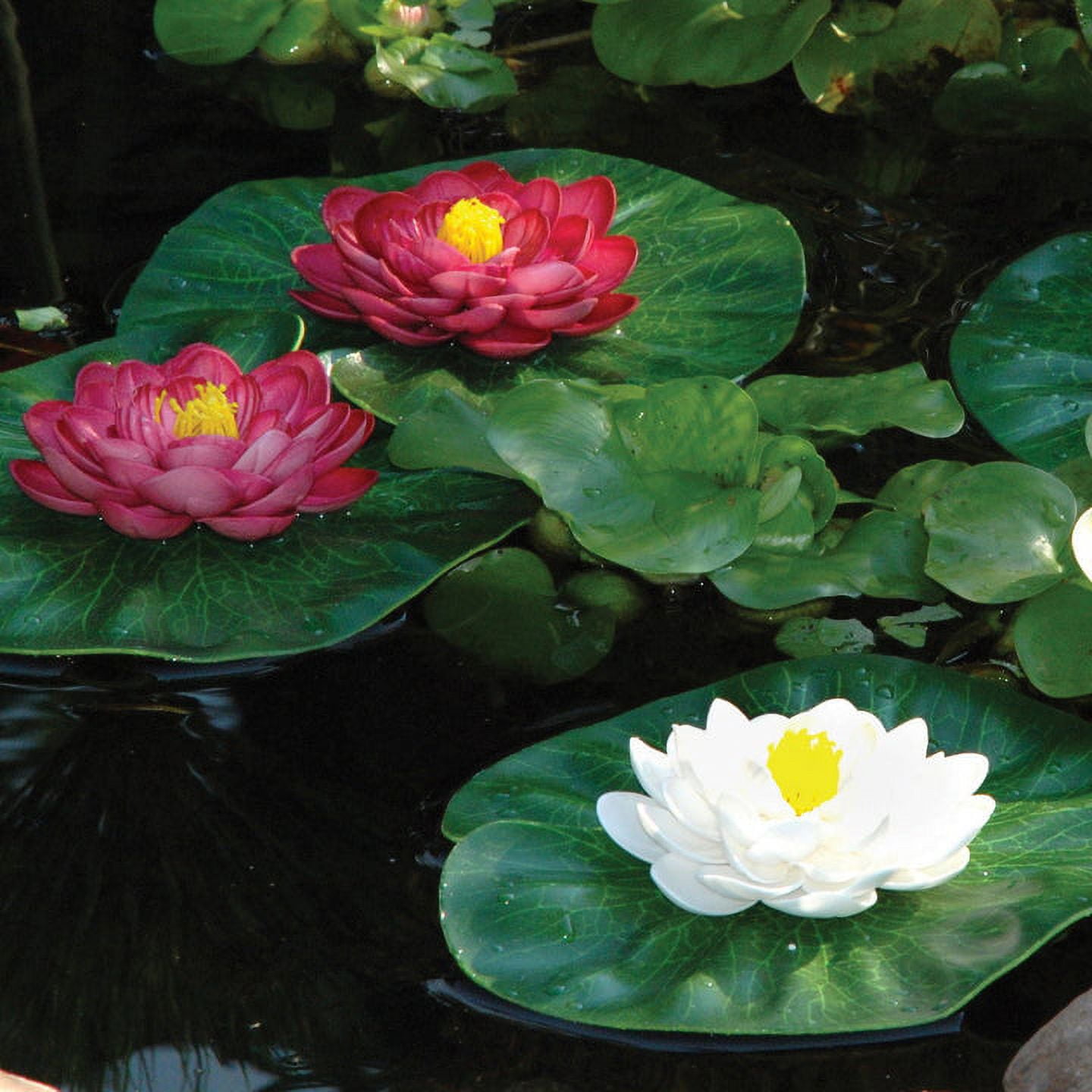 Pond Boss Floating Lily Pad Pond Decor Variety Pack of 3 - Multicolor