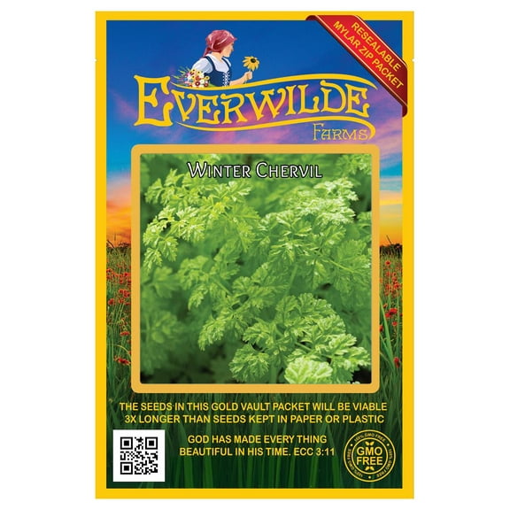 Everwilde Farms - 200 Winter Chervil Herb Seeds - Gold Vault Jumbo Bulk Seed Packet