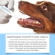 thumbnail image 5 of Cepillo de dientes para mascotas, bolígrafo limpiador de dientes para perros, removedor de dientes para perros o gatos, limpieza de dientes con sustancia vegetal natural, reparador de dientes para mas, 5 of 9